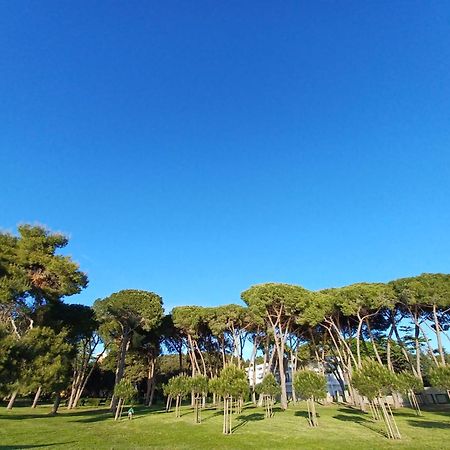 Family Apartments Zadar - Ryanair Exclusive Ngoại thất bức ảnh